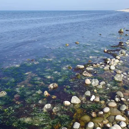 10 Person In Graested-by Traum * Græsted