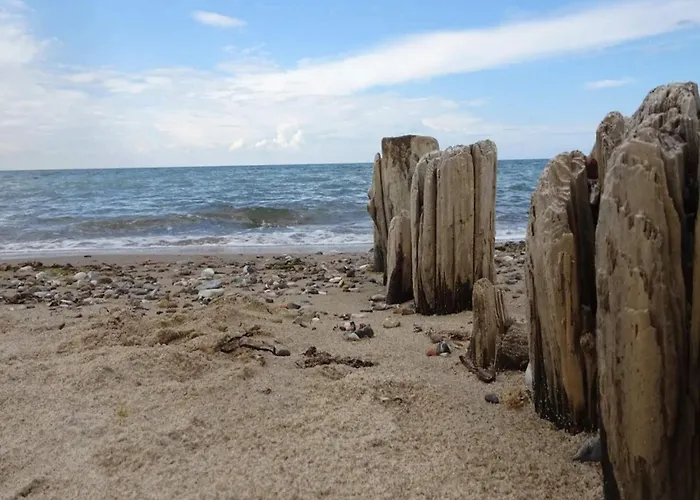 10 Person In Graested-by Traum * Græsted