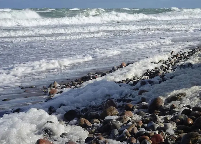 10 Person In Graested-by Traum